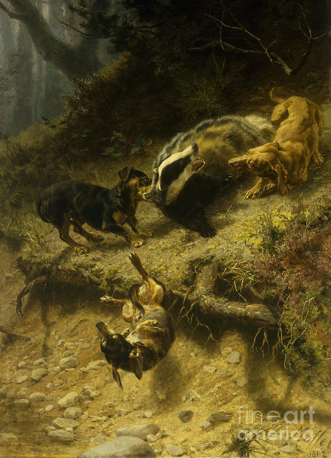 Dachshunds On A Badger, 1882 Painting by Guido Von Maffei - Fine
