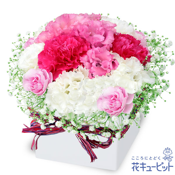 トルコキキョウのロマンチックキューブ - 誕生日フラワーギフト｜｜花