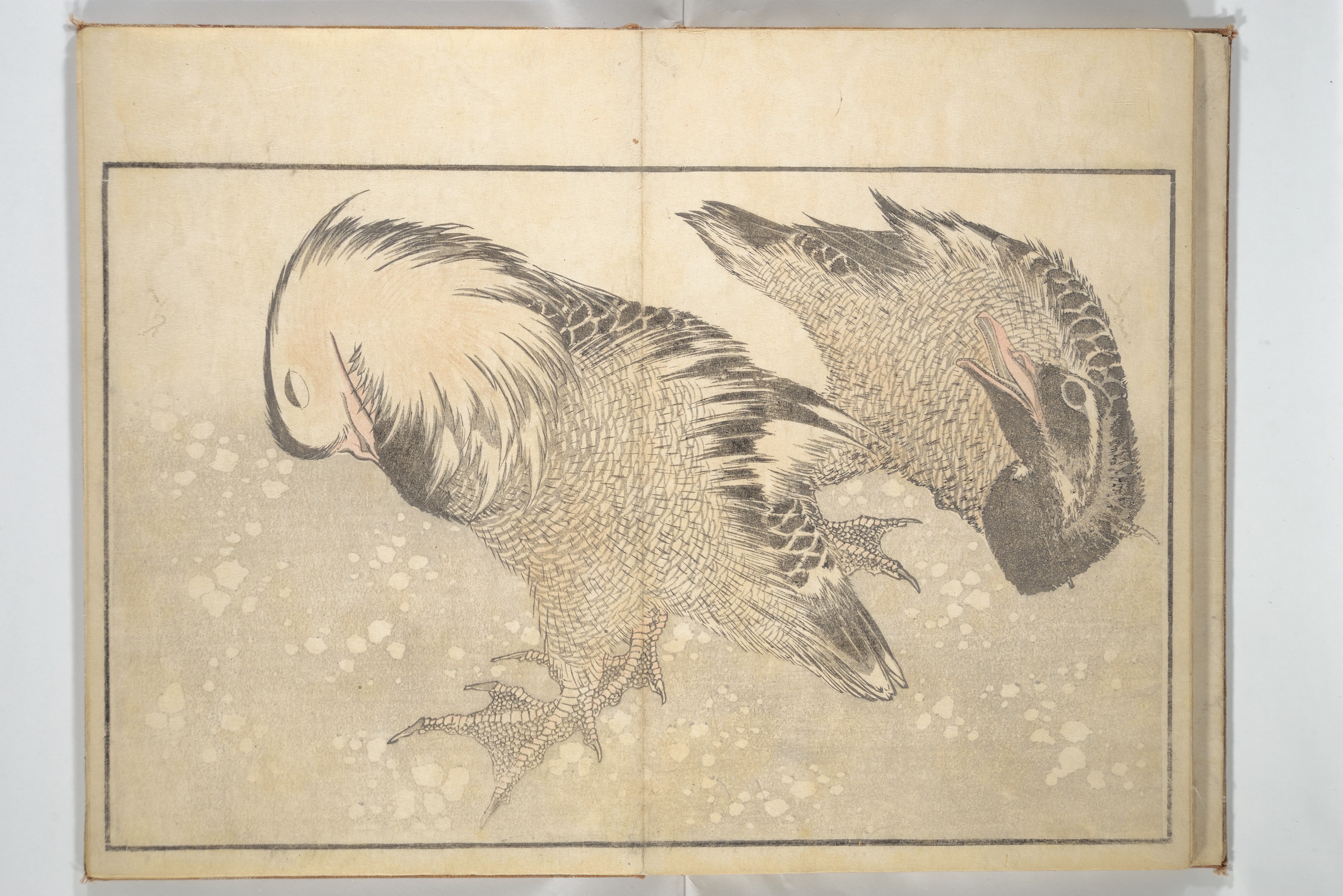 Katsushika Hokusai 葛飾北斎 - A Realistic Sketchbook by Hokusai