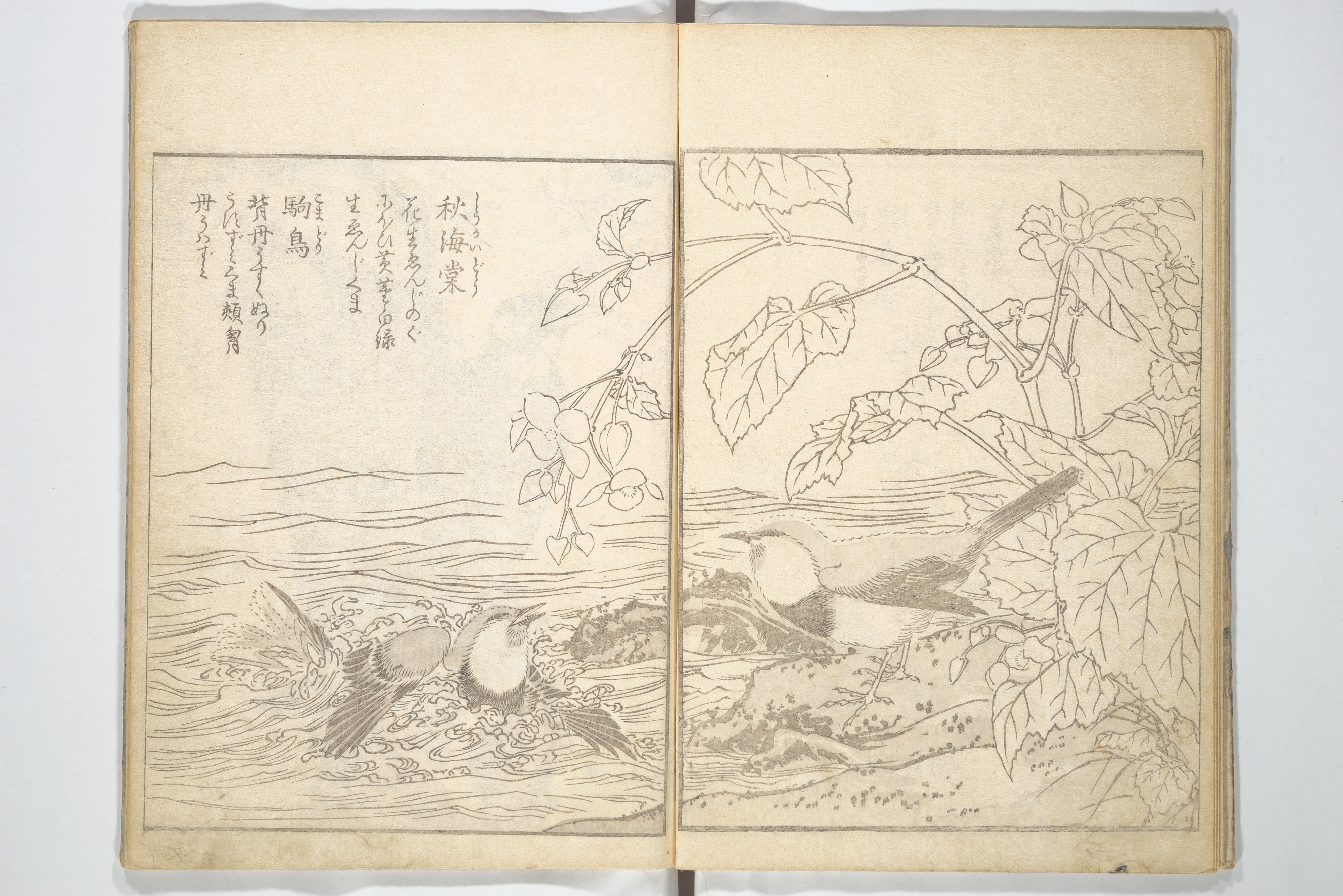 Kitao Shigemasa 北尾重政 - True Depictions of Bird and Flower