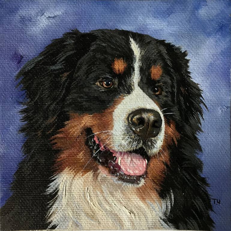 Bernese mountain dog Painting by Tatjana Cechun | Saatchi Art