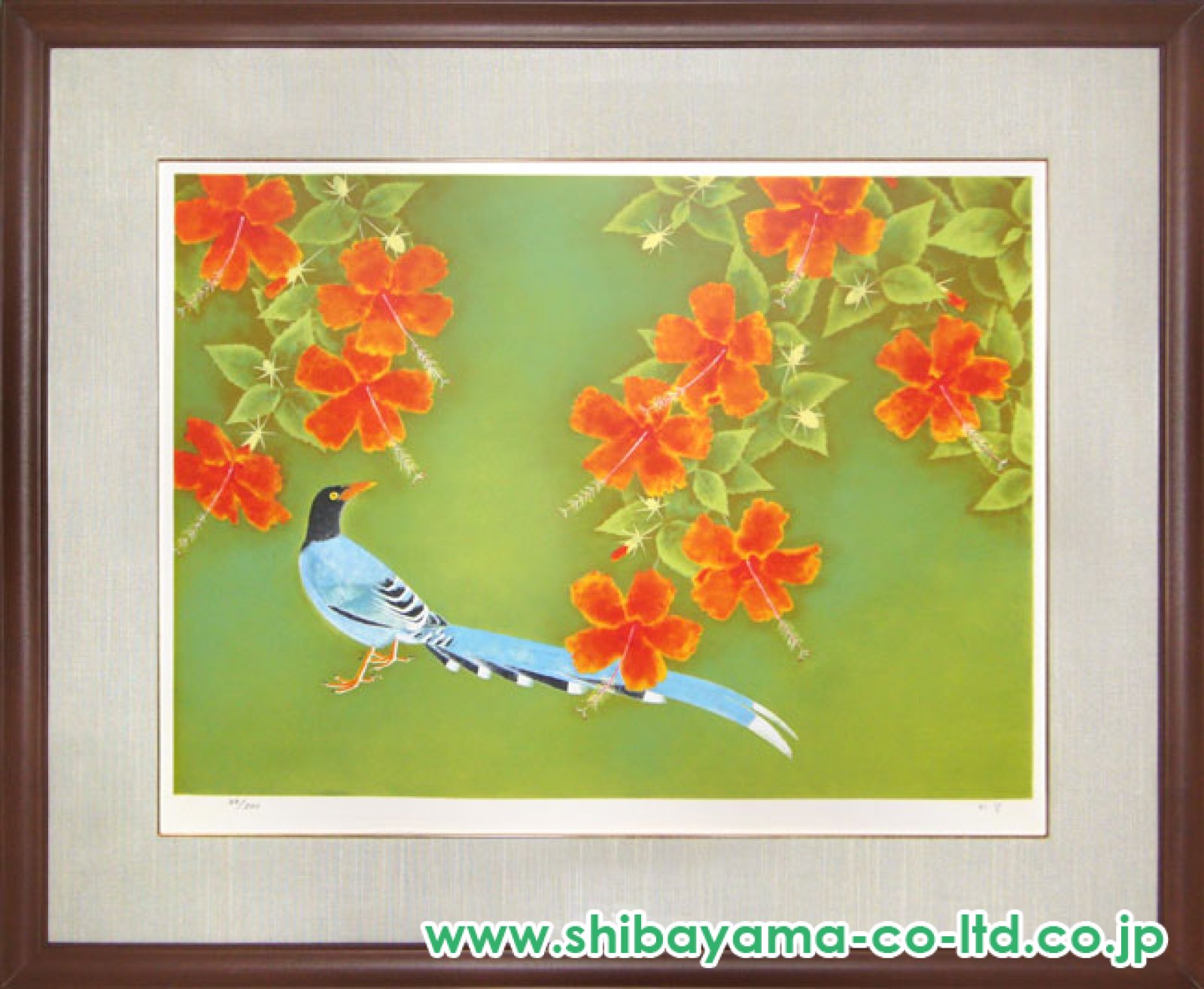 上村松篁「花鳥」リトグラフ :: 絵画買取・販売 - シバヤマ
