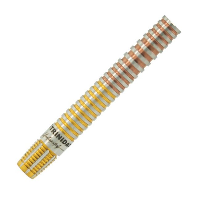 TRiNiDAD KID Type2 EVO / 後藤智弥- DARTS HUNTER ONLINE DARTS SHOP