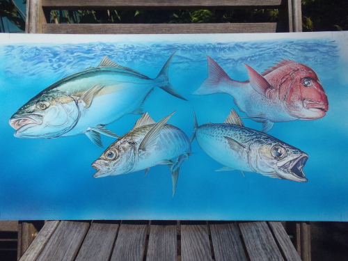 海の魚イラスト。。。。。 | SUSUMU UCHIDA 内田進の世界