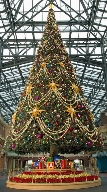 画像2/2) ミッキー＆ミニーが飾り付け TDLクリスマスツリー完成