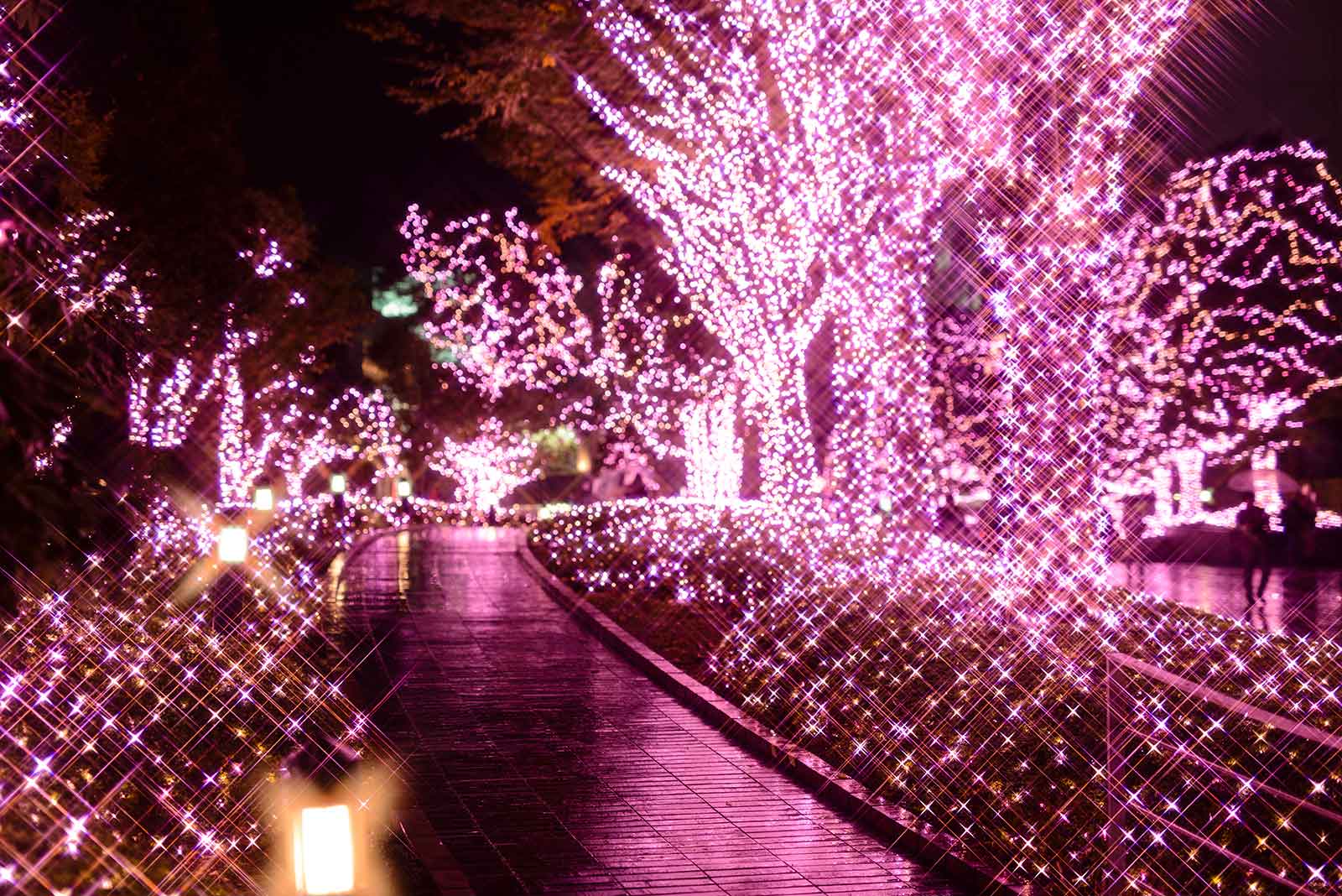 新宿テラスシティ イルミネーション」駅周辺が桜色に染まる！ハートの