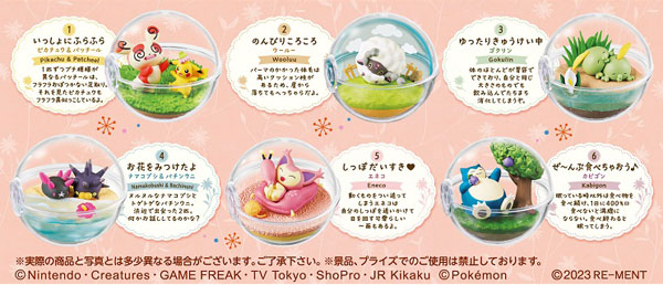 ポケットモンスター テラリウムコレクション～Happyなまいにち～ 6個