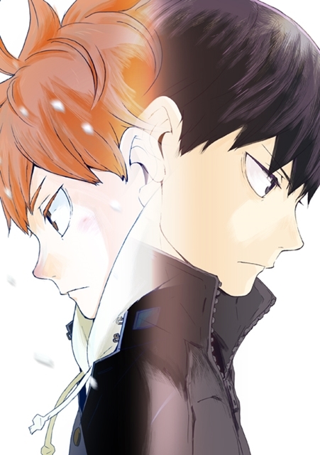ハイキュー!!』「ジャンプフェスタ2019」公式レポ到着 | アニメイト