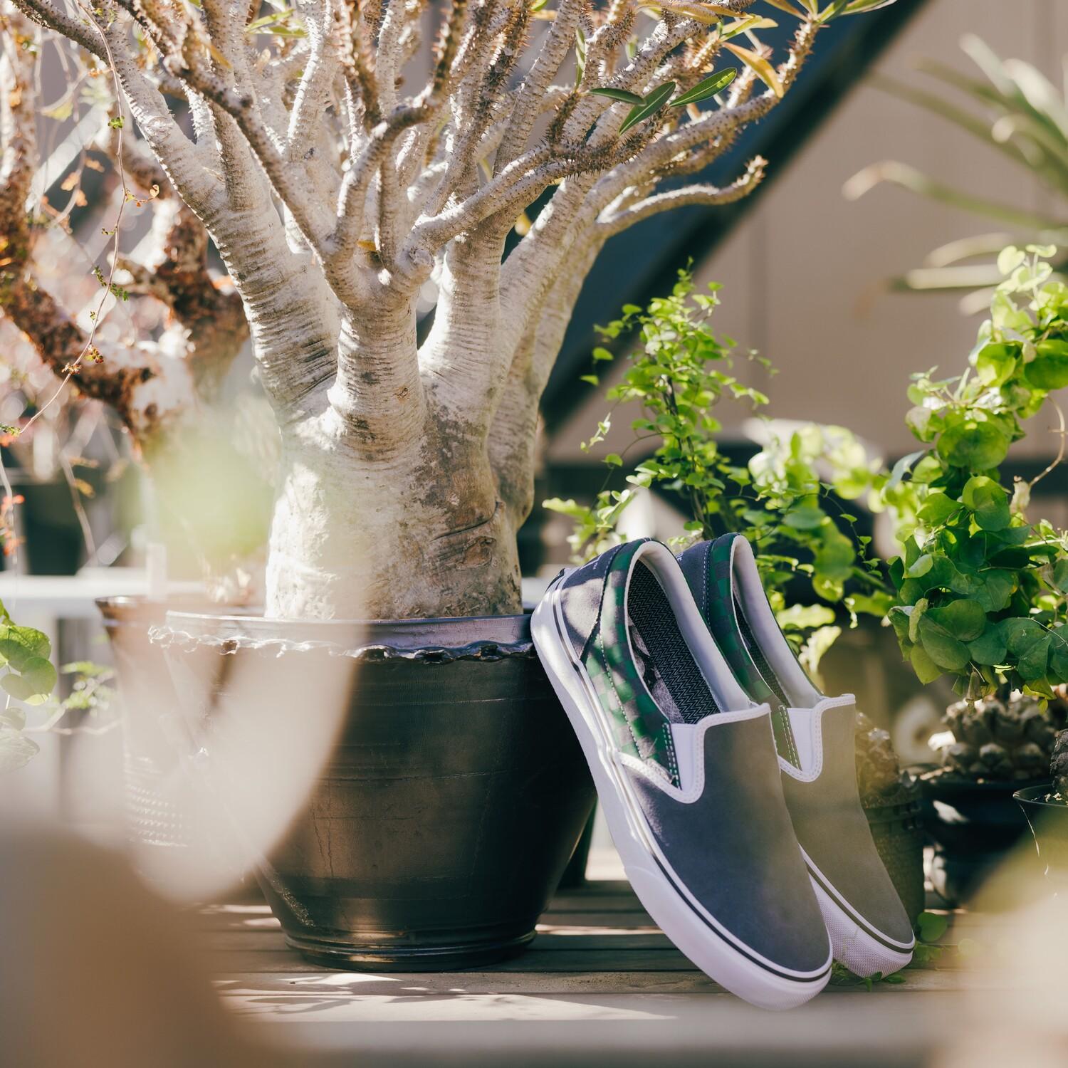 ≪VANS × BOTANIZE≫ 【VANS】 ヴァンズ SLIP ON スリッポン V98CF