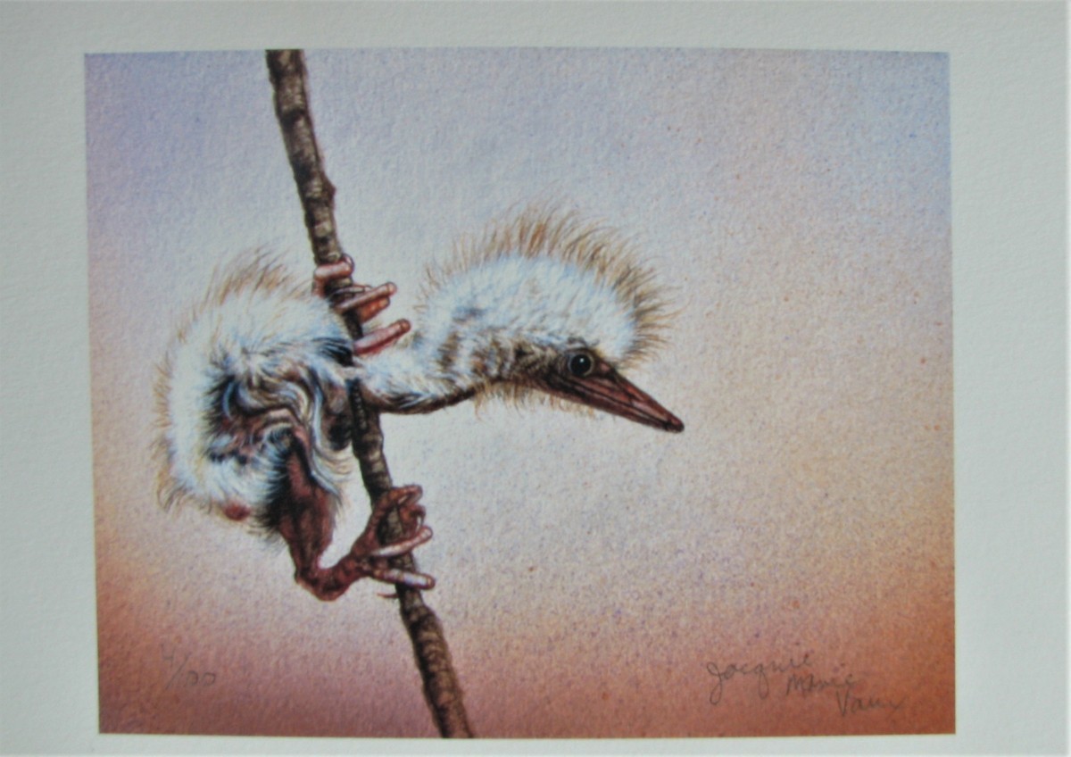 うさぎ牧野千穂 絵画 (版画/キャンバスジクレー) みつかる 4770 うさぎ