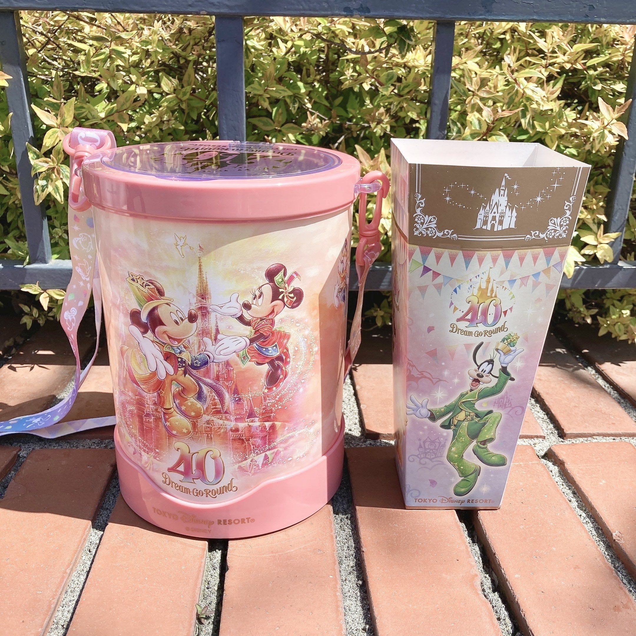 ディズニーランドの「限定ポップコーンバケット」が最高にカワイイ