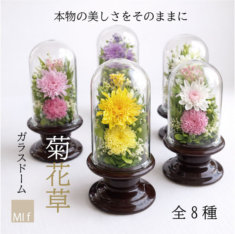 仏花 プリザーブドフラワー ガラスドーム お供え「菊花草