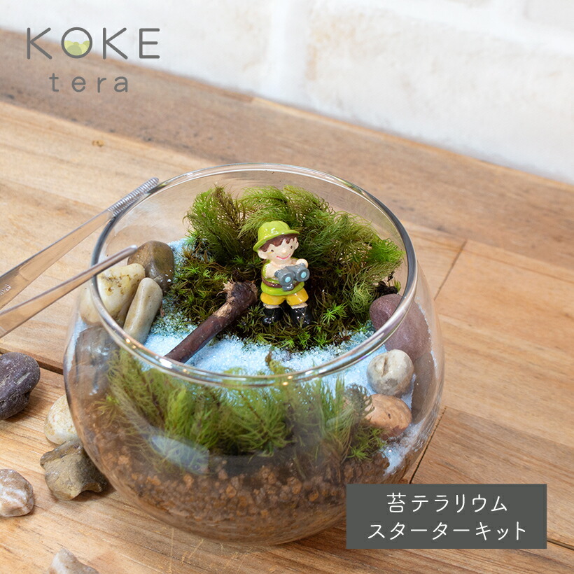 苔テラリウムキット冒険家 男の子の防水フィギュア付きキット