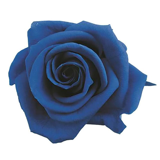 送料無料】プリザーブドフラワー レインボーローズ入りの花束～11本