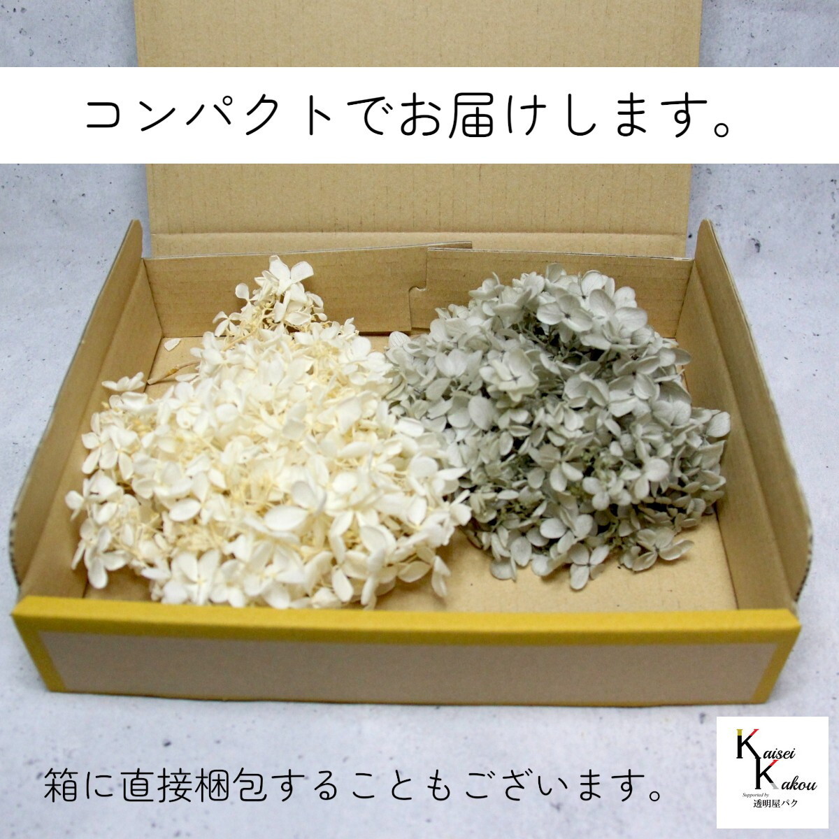 送料無料 大地農園 プリザーブドフラワー 「ピラミッドアジサイ 2色