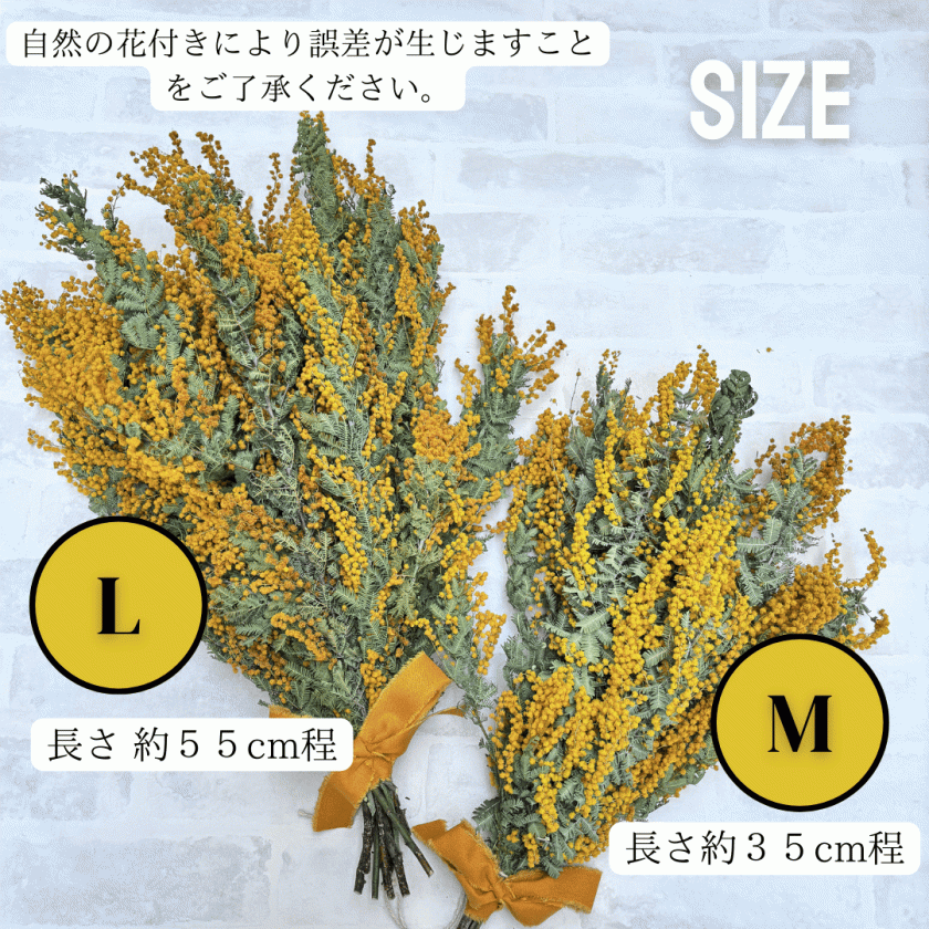 ドライフラワー スワッグ ミモザ 花束 プレゼント プリザーブド
