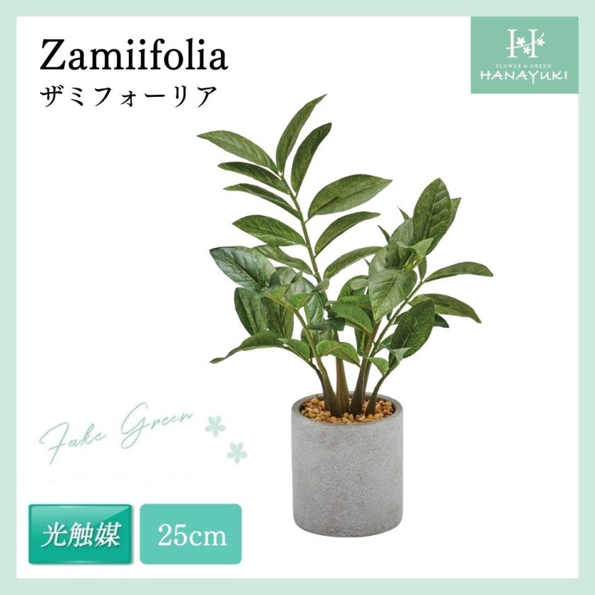 フェイクグリーン ザミフォーリア 光触媒 卓上 25cm 人工観葉植物 室内