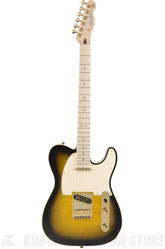 Fender Richie Kotzen Telecaster, Maple Fingerboard, Brown Sunburst