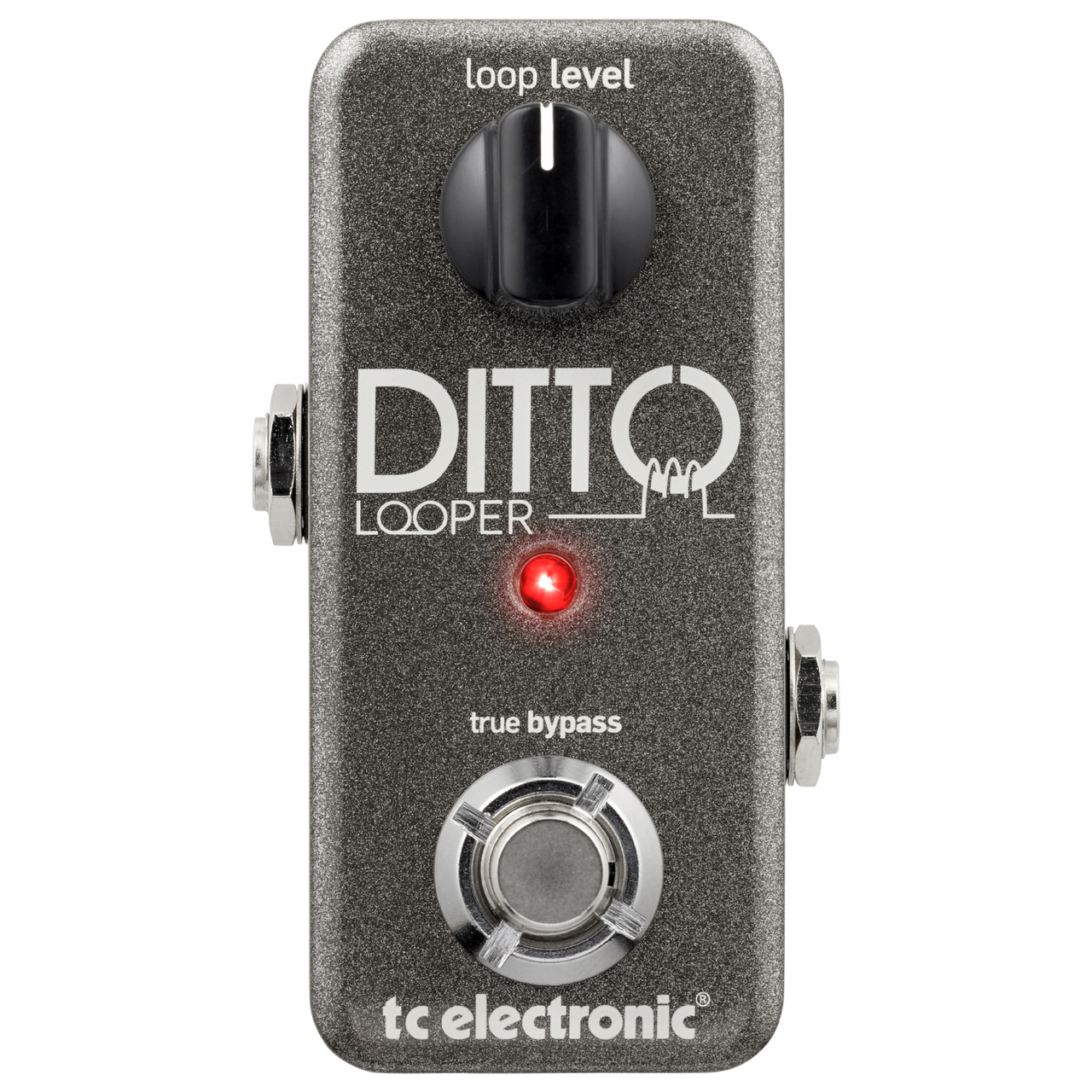 tc electronic Ditto Looper（新品）【楽器検索デジマート】