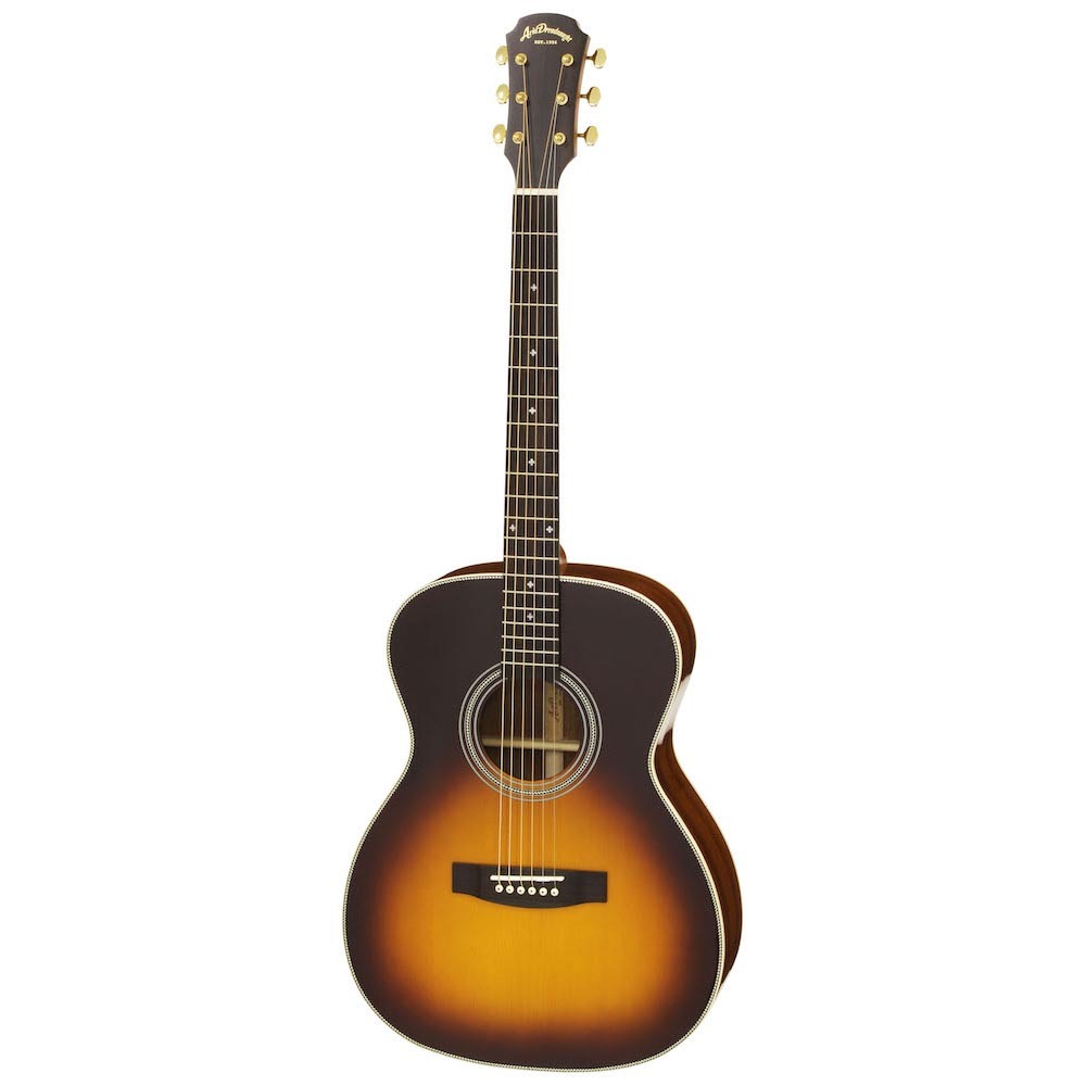 Aria Dreadnought AF-501 TS アコースティックギター（新品/送料無料