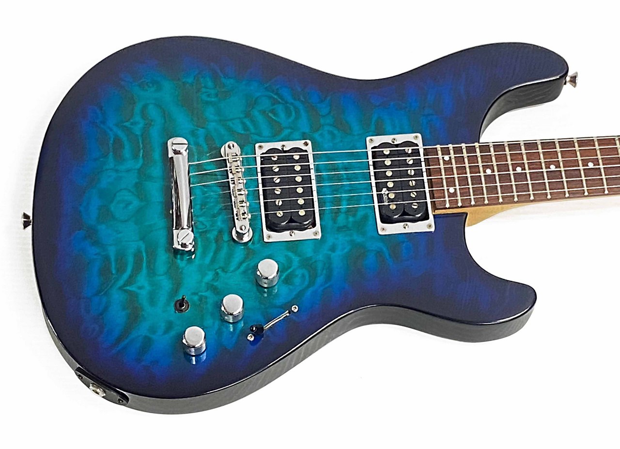 FERNANDES APG-65S（中古）【楽器検索デジマート】