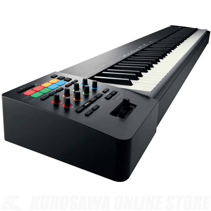 Roland A-88MK II MIDIキーボード[88鍵盤]【送料無料】（新品/送料無料