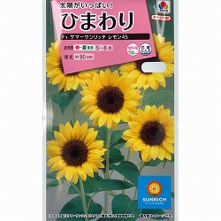 園芸ネット本店｜ヒマワリ：ひまわりコレクション[タキイ 花タネ] の