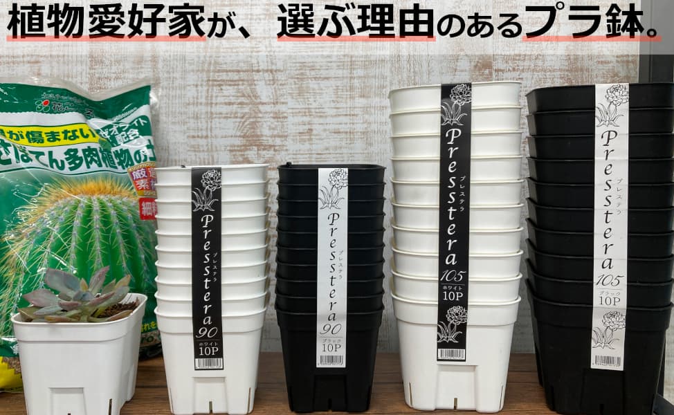 園芸ネット本店｜プレステラ90型ブラック10個セット の通販【公式】