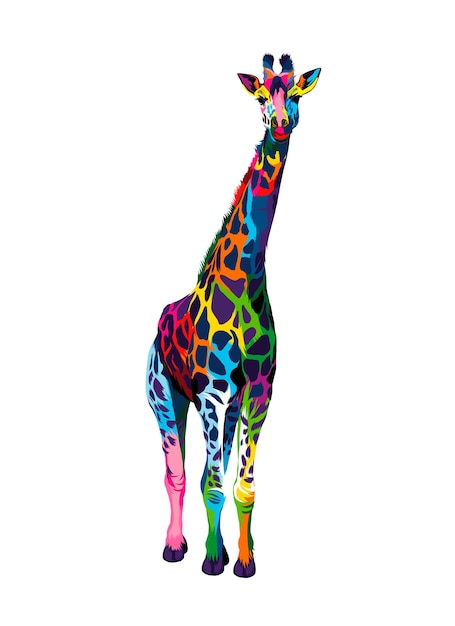 色とりどりの絵の具からキリン水彩画のスプラッシュリアルな描画