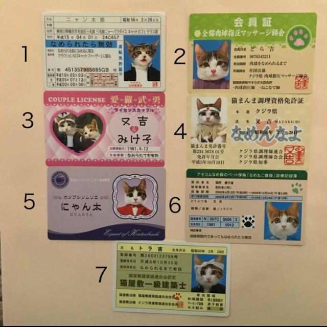 なめ猫カード (26種類)の通販 by mii's shop｜ラクマ
