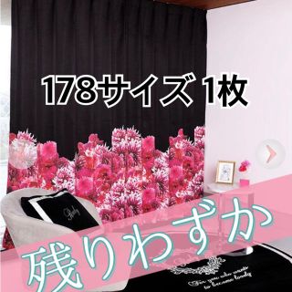 Rady（カーテン）のフリマアイテム一覧