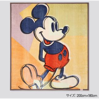 UNIQLO（毛布）のフリマアイテム一覧