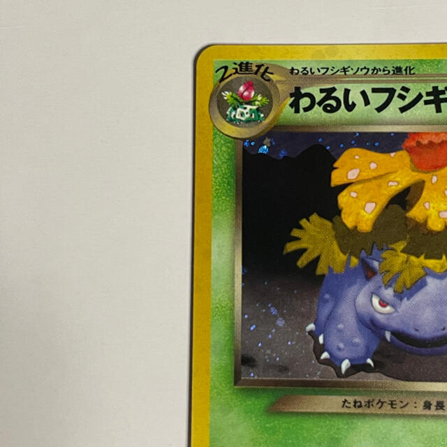 わるいフシギバナ わるいフシギソウ 旧裏 002 003 わるいフシギバナ