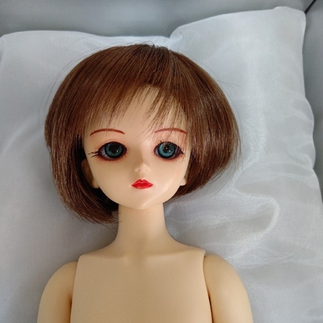 VOLKS - ミニスーパードルフィー 男の子 MSD健 組み立てキットの通販