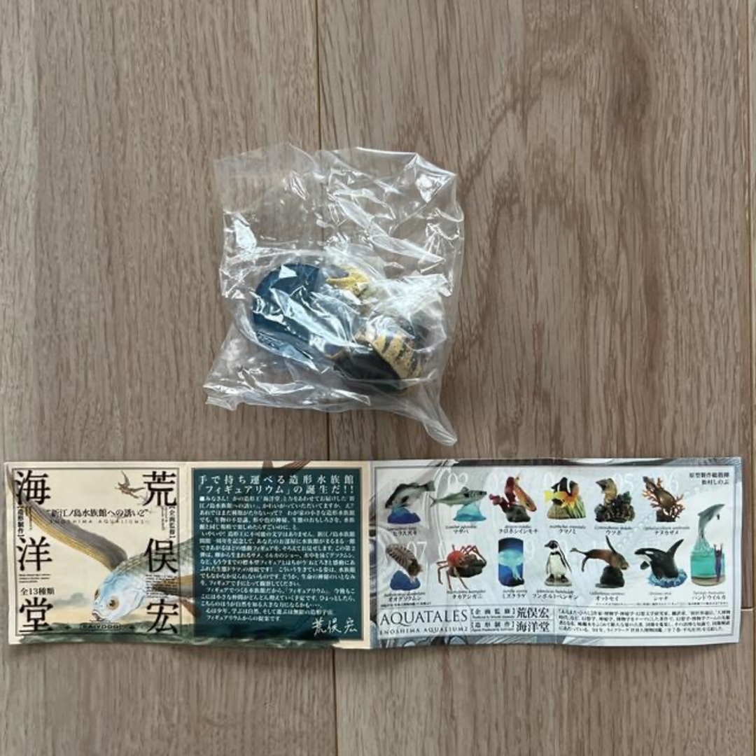 新江ノ島水族館2☆海洋堂☆ウツボの通販 by ラピス8783's shop｜ラクマ