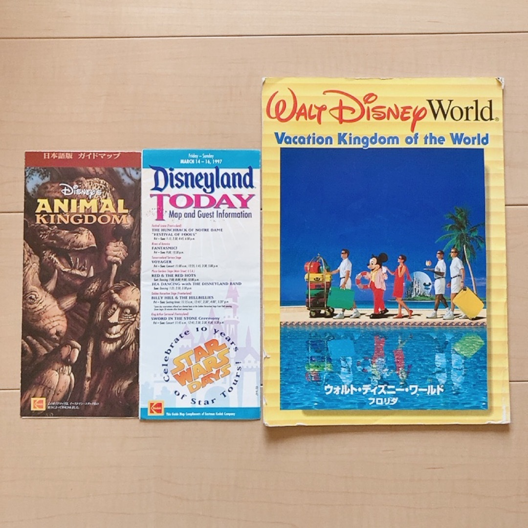 Disney - ウォルト・ディズニー・ワールド 滞在ガイド マップの通販 by