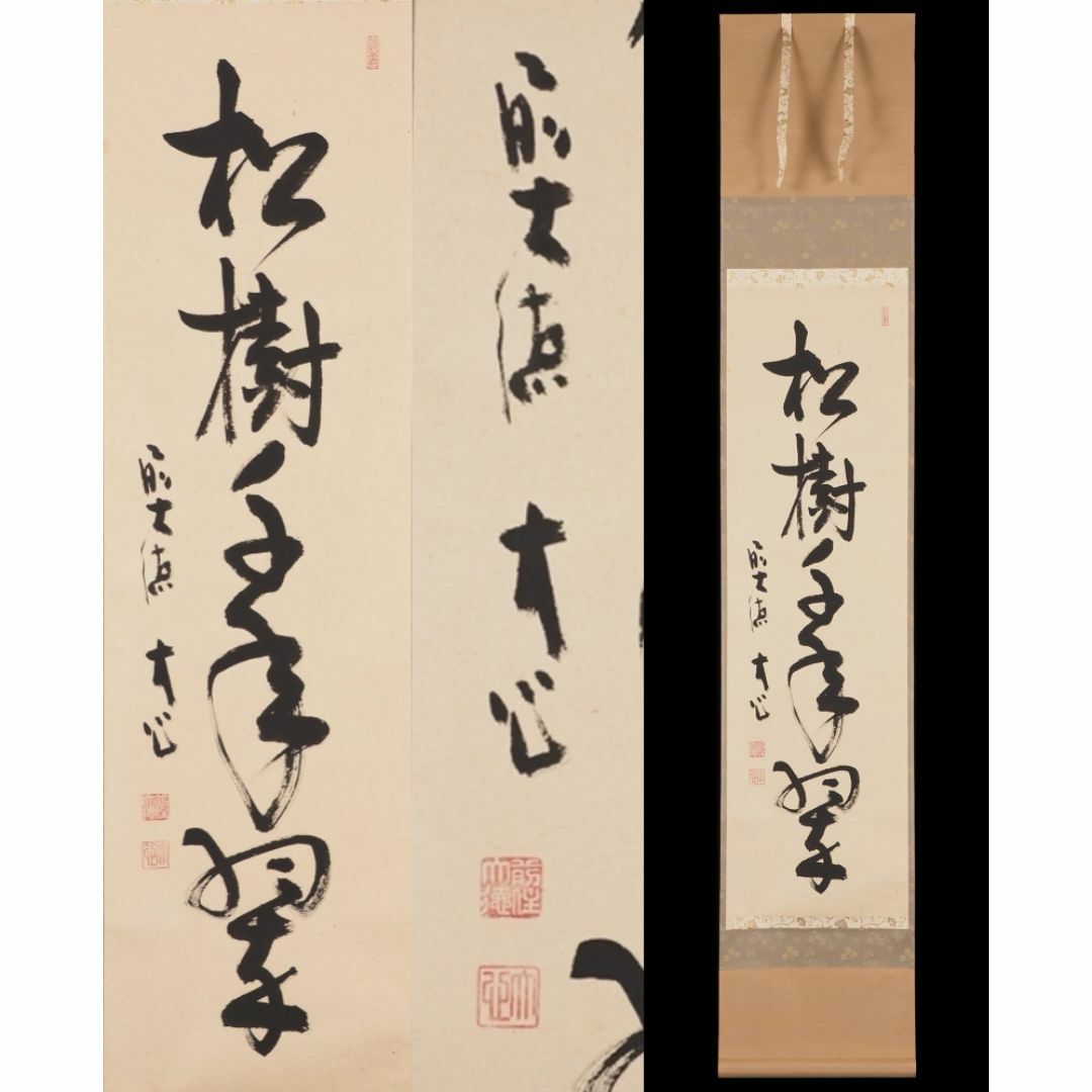 真筆】掛軸 大徳寺 小室大心『松樹千年翠』紙本 共箱付 掛け軸 x03874
