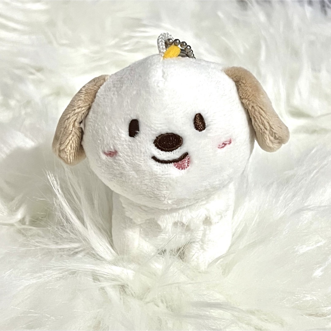 韓流ショップ購入品】RIIZE ライズ アントン ぬいぐるみ キーホルダー