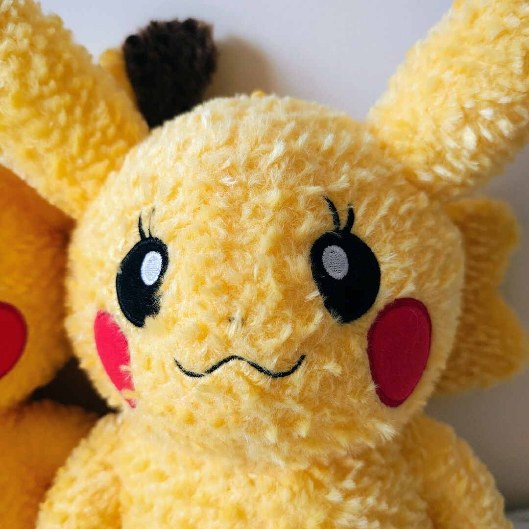 美品 Pikachu's Closet オスメス2体セット ポケモンセンター限定