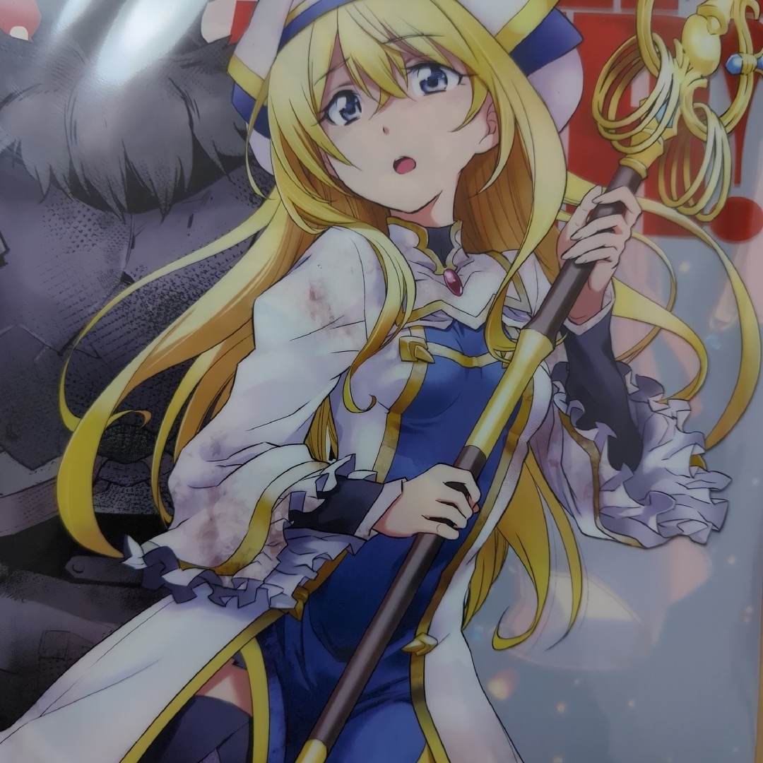 送料無料☆女神官 A4クリアファイル/神奈月昇/ゴブリンスレイヤー