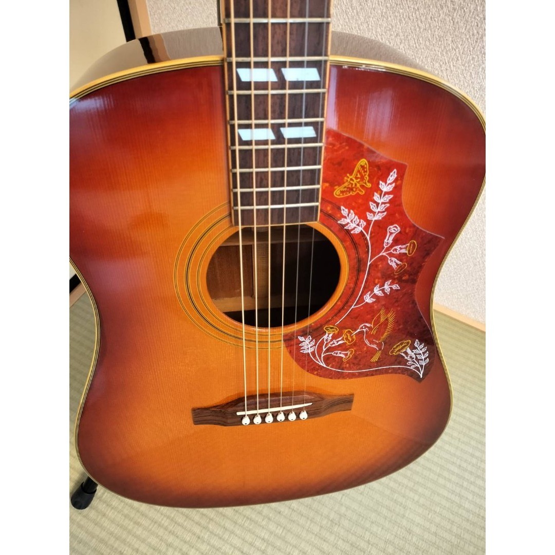 Epiphone - Epiphone Hummingbird AV 94年製 美品 ハミングバードの