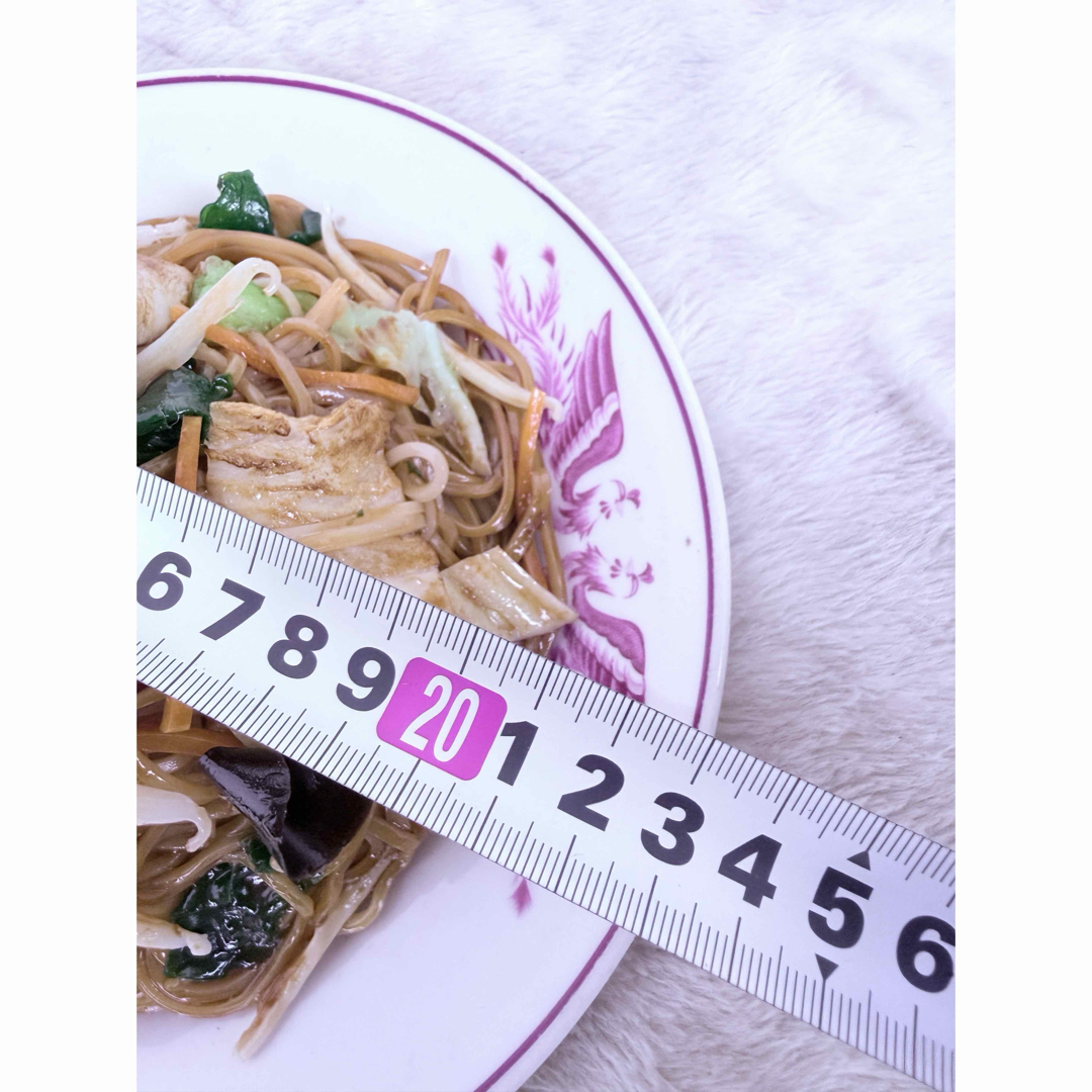 昭和レトロ 焼きそば 食品サンプル 直径約23cm 町中華 屋台の通販 by
