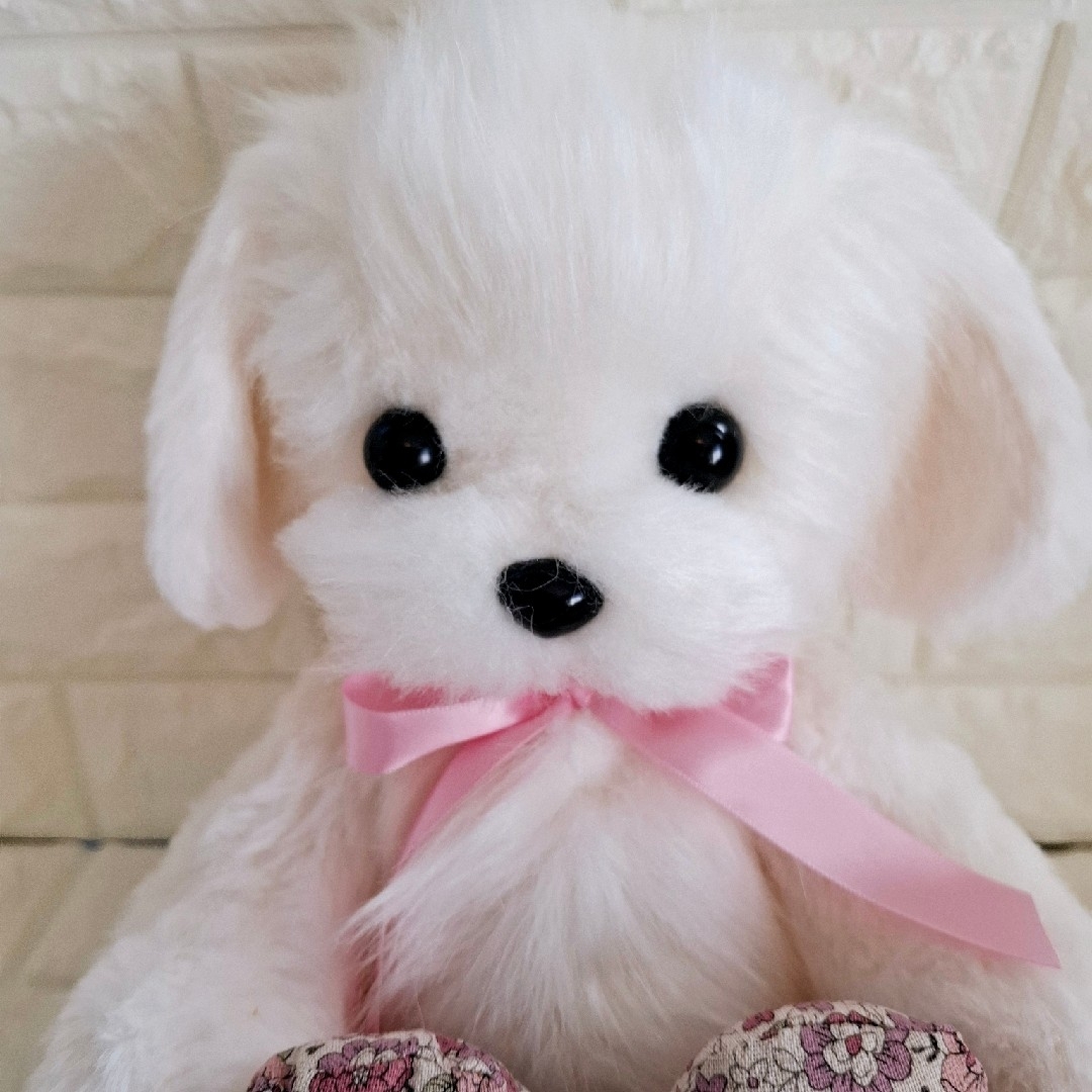ぬいぐるみ、テディマルチーズ、犬、ハンドメイド、オリジナル特大