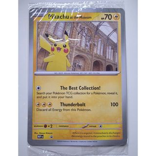 ポケモン - JR東日本ポケモンスタンプラリー30駅達成記念カード な