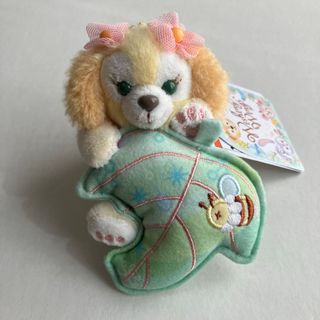 ダッフィー - 【現地購入☆正規品】ダッフィー 誕生日 バースデー