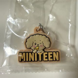 SEVENTEEN - ミンギュ SEVENTEEN クリスマス HMV ボンボンイ 限定の