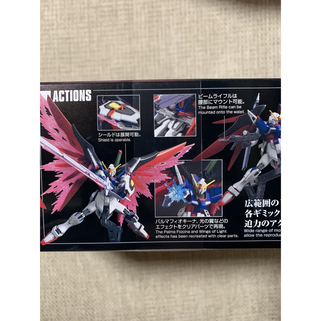 Real Grade（BANDAI） - HG デスティニーガンダム RG ガンダム