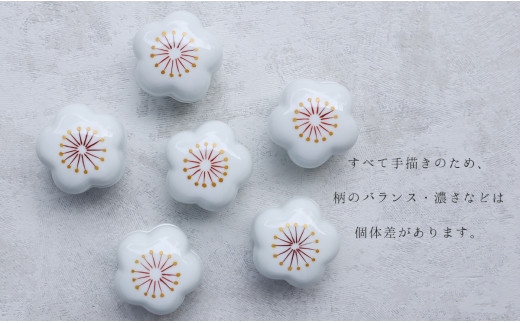 有田焼 NEW！はれの日のうつわ 5点セット【まるふく】食器 器 うつわ