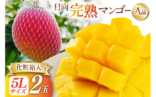 2026年夏発送】 宮崎 完熟 マンゴー 秀品 A品 4L×2玉 化粧箱入り [宮崎