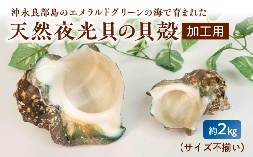 pd_7f94a6e60192f288d81025cd3f9